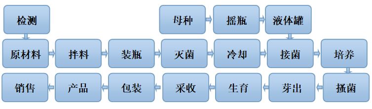 食用菌工廠化生產方案